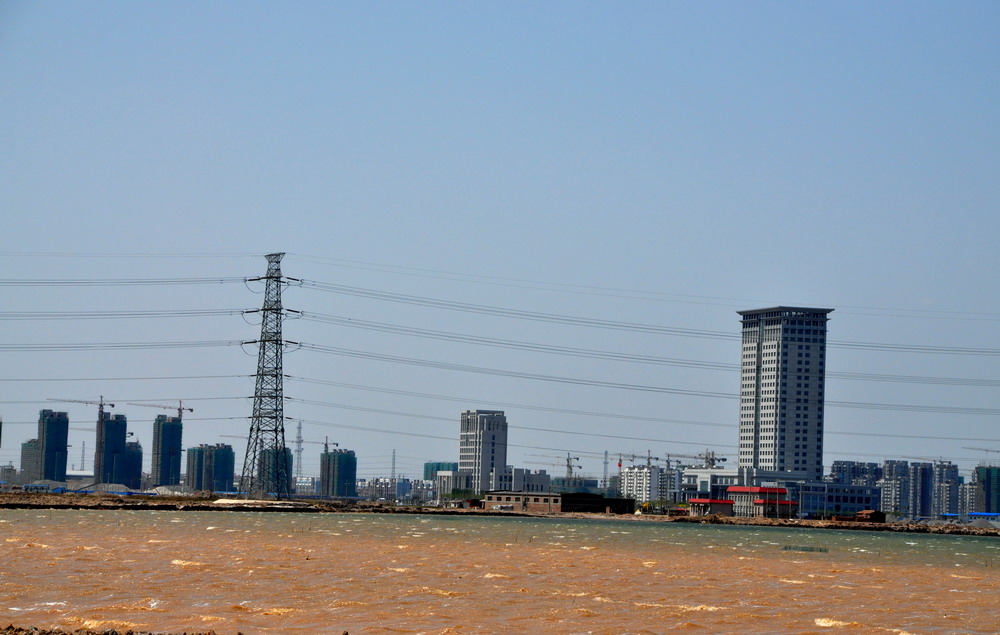 水上城市 摄影 渤海红柳