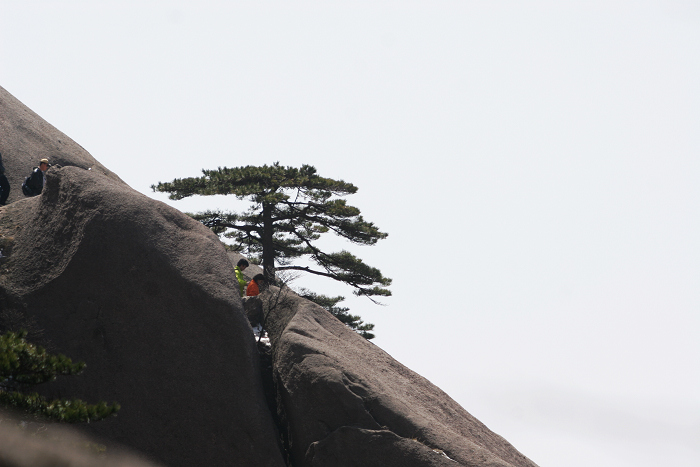 黄山归来不看山 (七) 摄影 han123456789