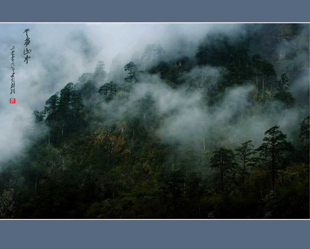 雾绕仙山 摄影 youzong