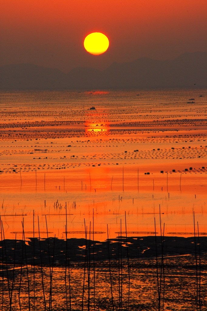 海上日出 摄影 黑胶盘