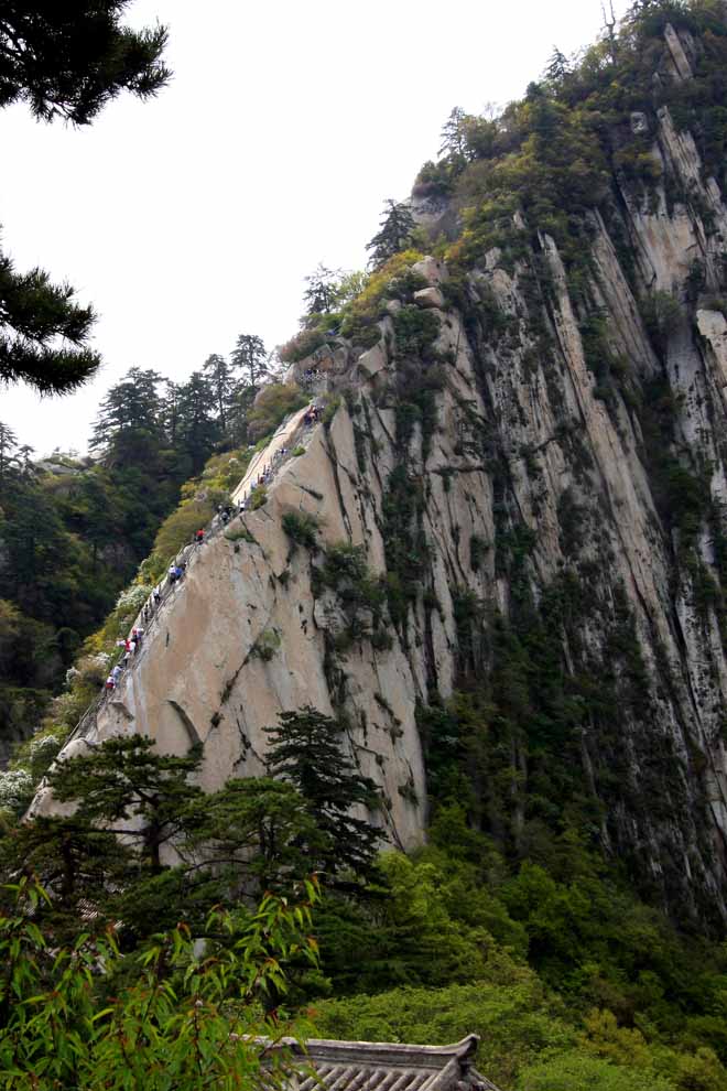 华山苍龙岭 摄影 百年逍遥叟