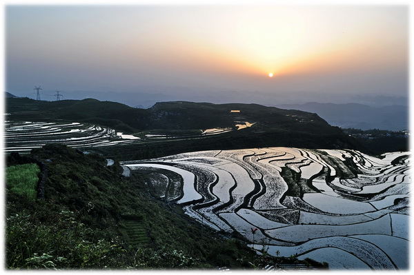 农田夕照 摄影 光头果果