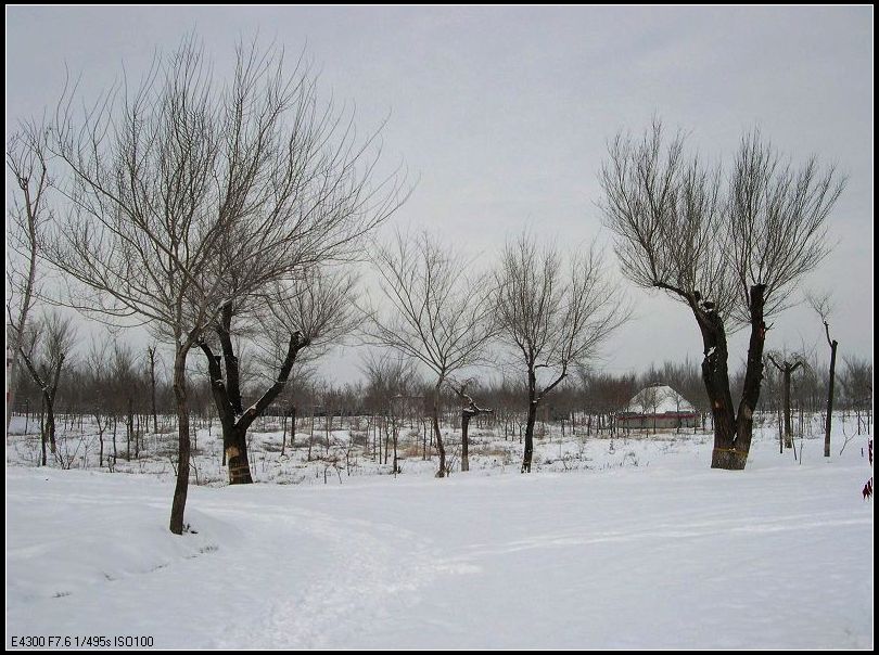 乌西冬日小景（2） 摄影 西风胡杨