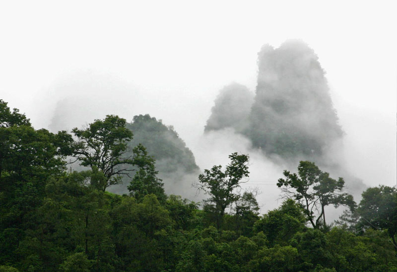 雾中山 摄影 青城樵夫