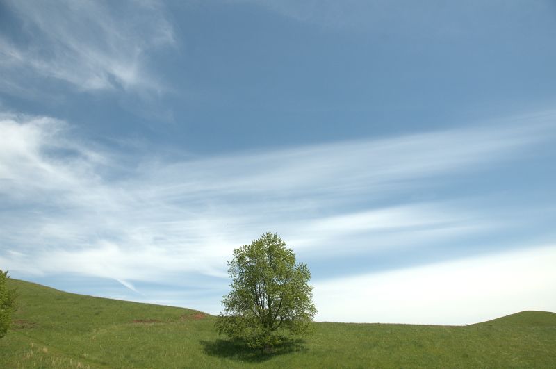 风吹草地 摄影 Laotaitai