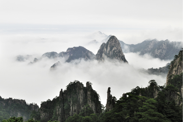 黄山 摄影 绿草地