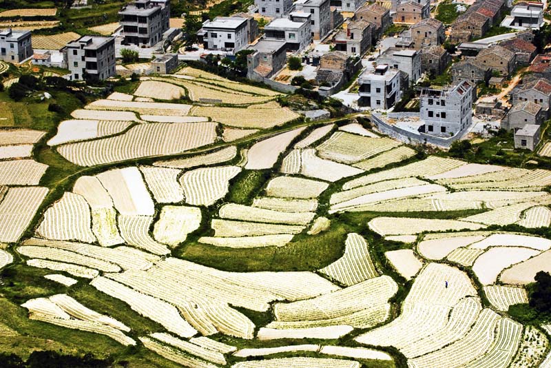 岚岛田园风光 摄影 静野