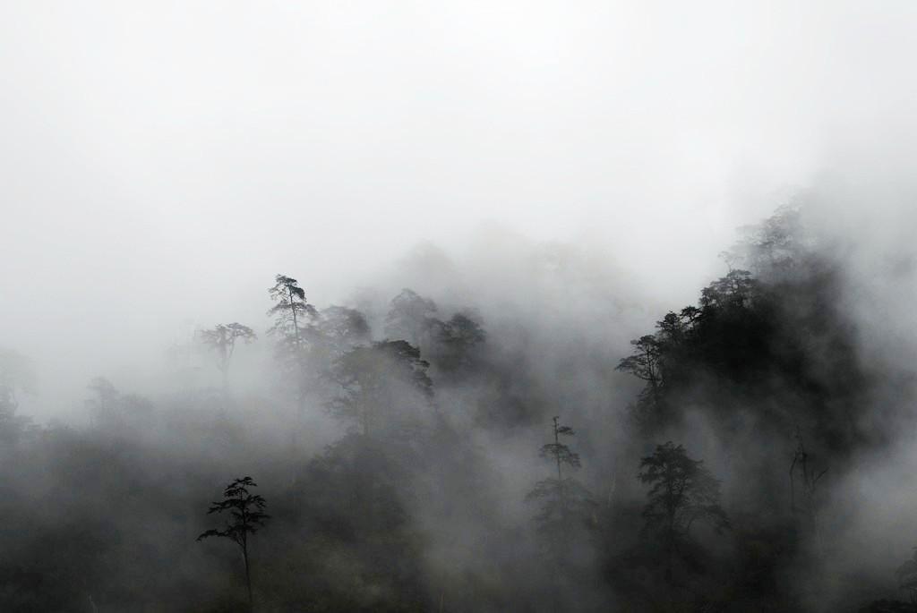 只愿身在此山中 摄影 少小离川