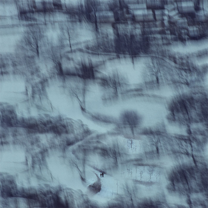 风雪摧归 摄影 贾玉玮