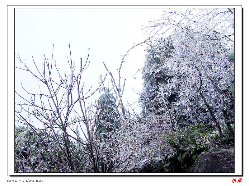 雪花 摄影 银樽