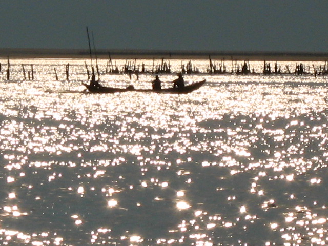 浮波 摄影 小中