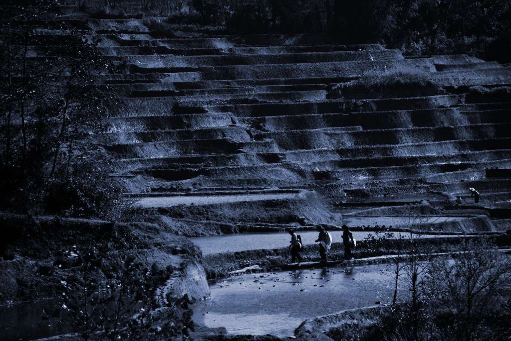 赶路 摄影 丝雨悠扬