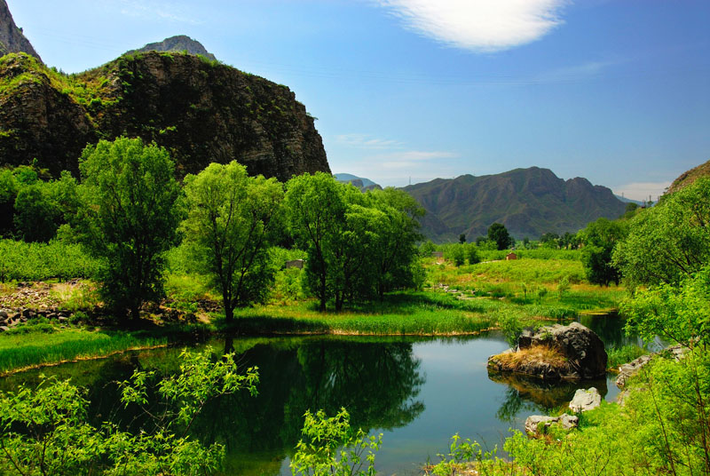 初夏的风景 摄影 youya