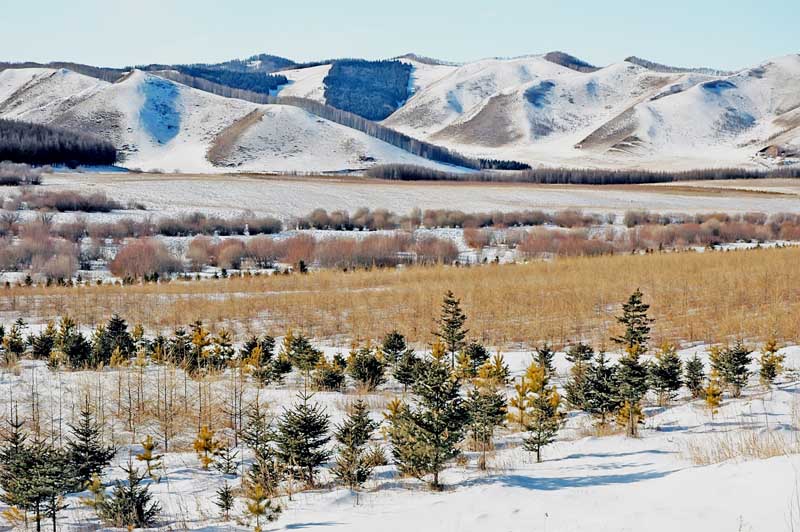 坝上雪景 摄影 捕捉快乐