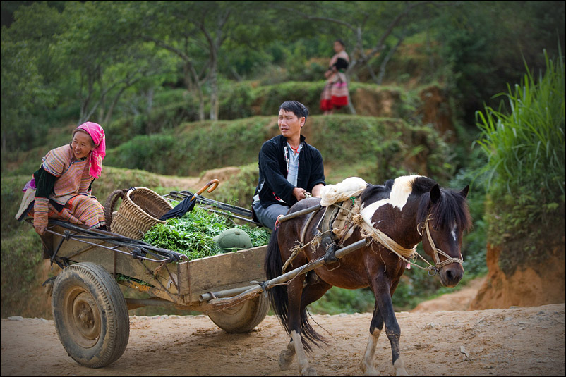 Vietnam SaPa 摄影 辛宗秀