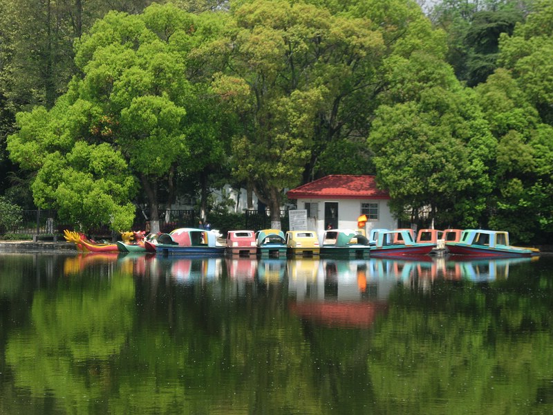 菱湖游船码头 摄影 丰雨