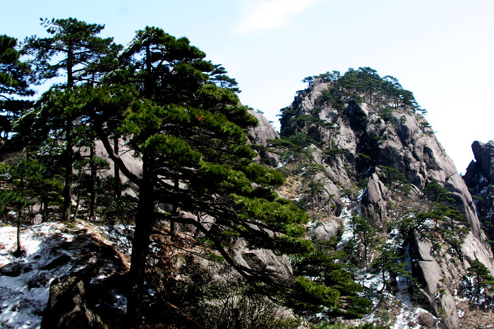 黄山归来不看山 (十三) 摄影 han123456789