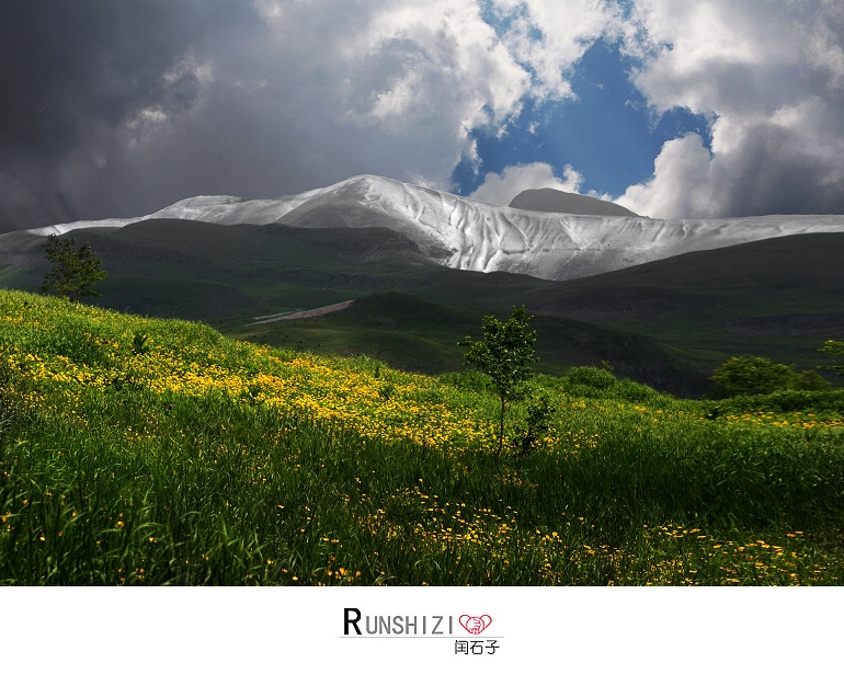 高山花园 摄影 闰石子