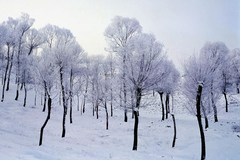 东乡的雪 摄影 西部浪人