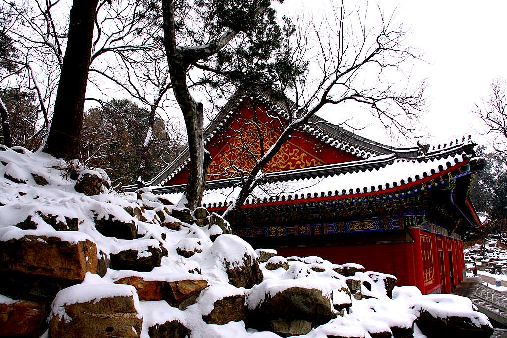 颐和园 二月雪 摄影 小含子