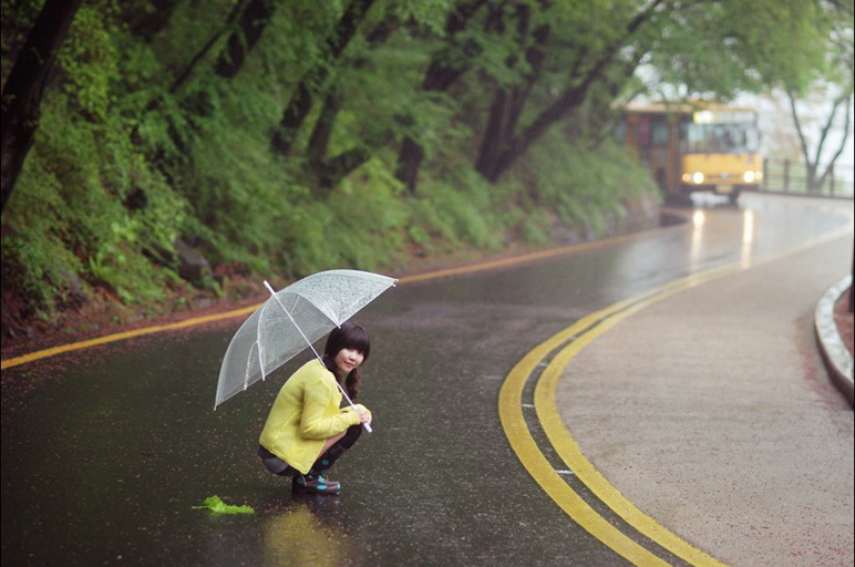 雨中即景 摄影 天山雪狼