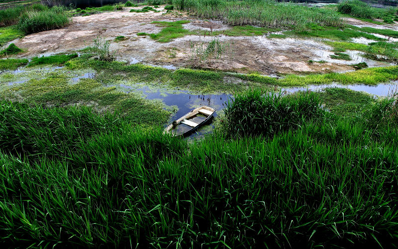 家门口的风景 摄影 caidi5568826