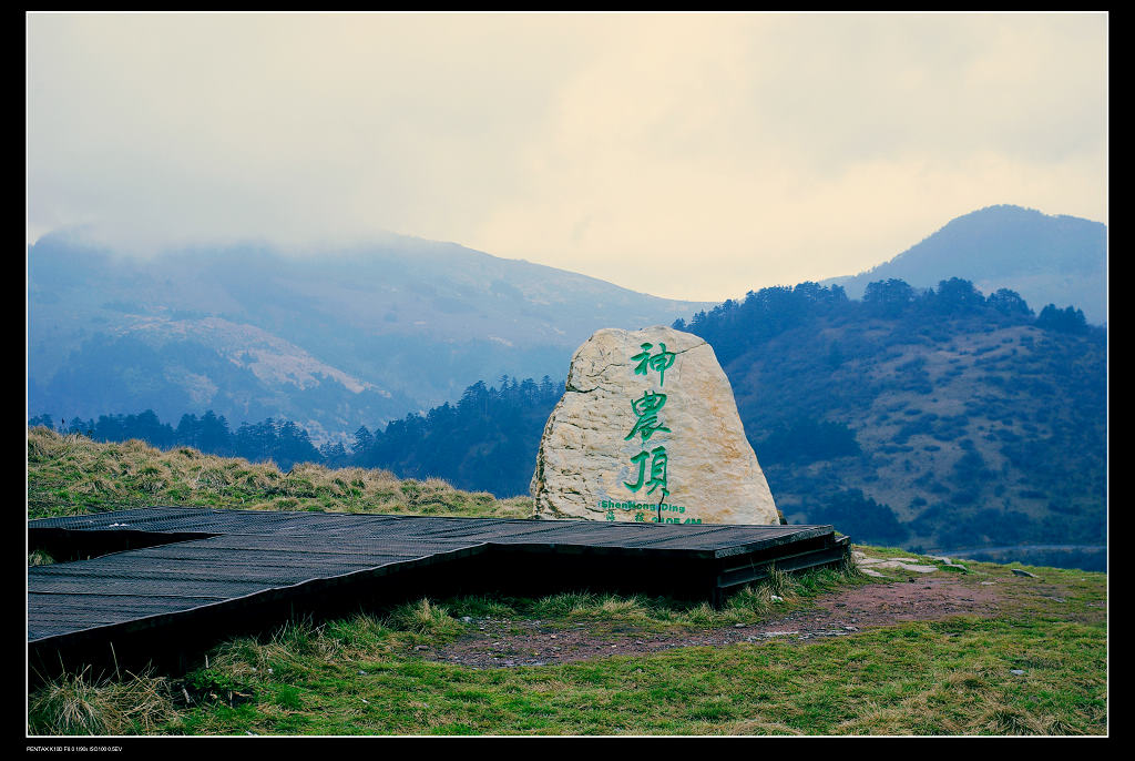 神农架 摄影 花香不在多