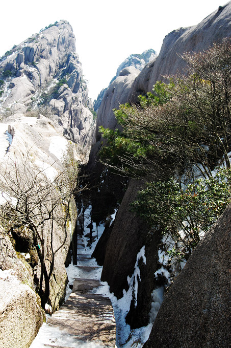 黄山归来不看山 (十五) 摄影 han123456789