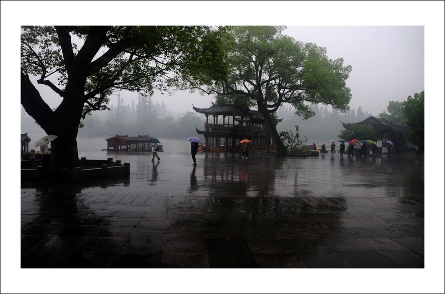 西湖雨景 摄影 门鼻儿