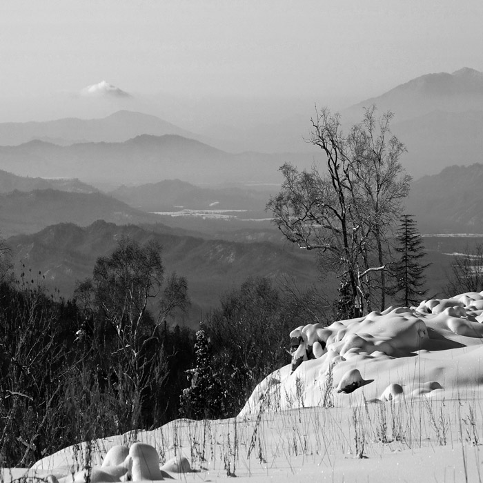 敖雪 摄影 老猿