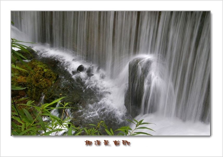 相逢是首歌 摄影 文竹细雨