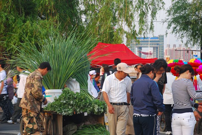 端午节的早晨 摄影 柳花