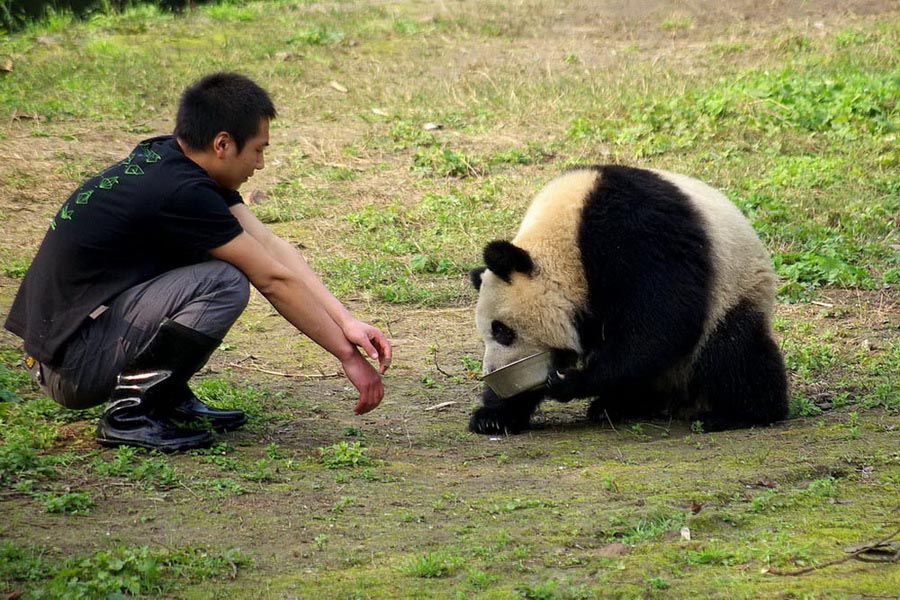 靠边，我自己来！ 摄影 冰之炫