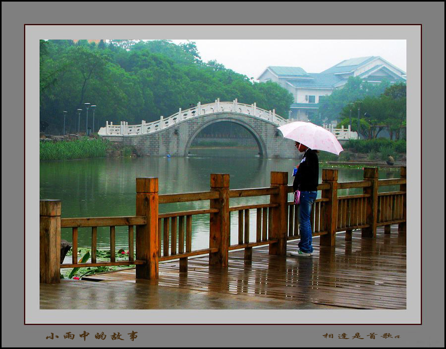 小雨中、、、、、、 摄影 相逢是首歌a