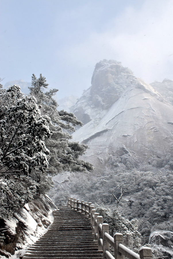 风雪黄山立马峰 摄影 风飘絮