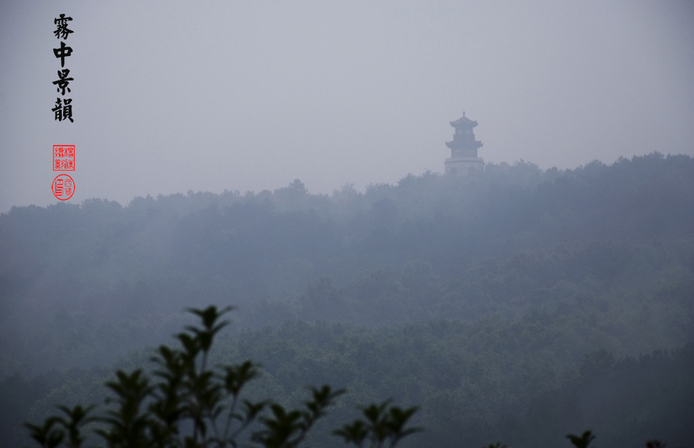 雾中景韵 摄影 西望