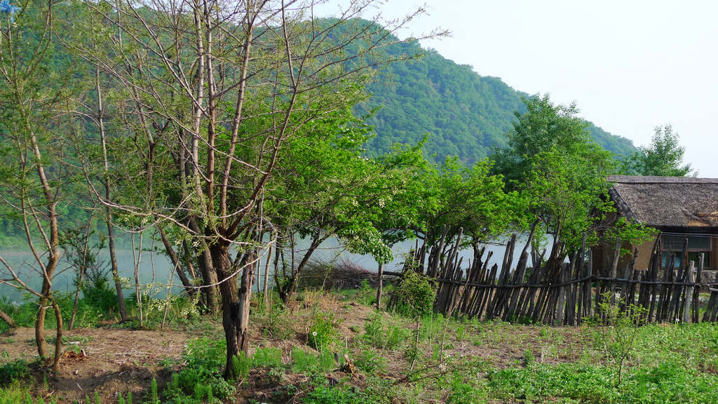 山村早晨 摄影 不算晚