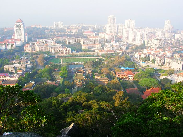 厦门大学 摄影 喜相逢