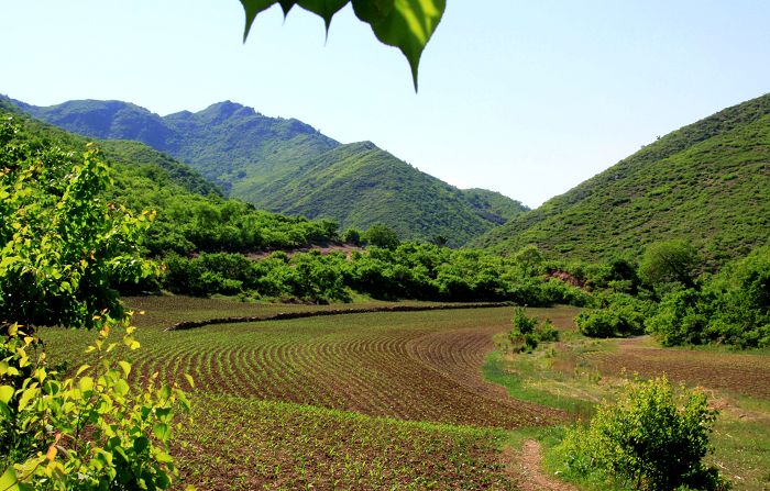 山的乐章 摄影 实在人