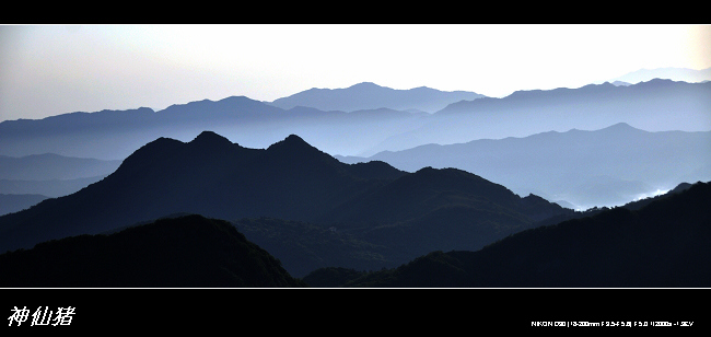 岚山依旧 摄影 神仙猪