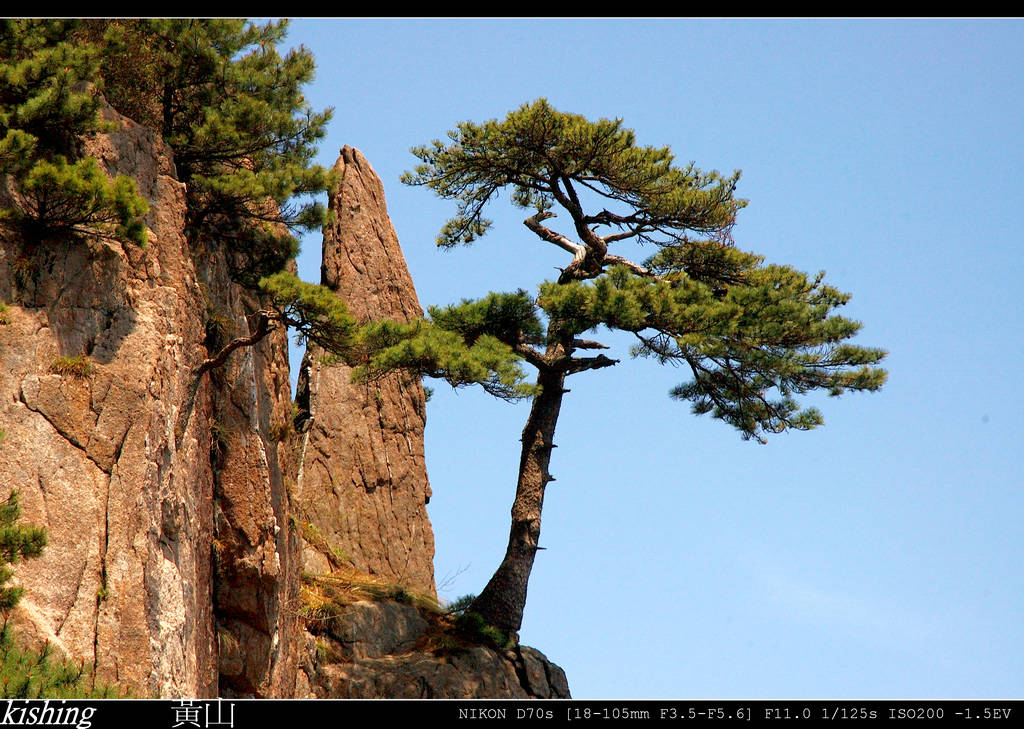 黃山行1 摄影 老楊