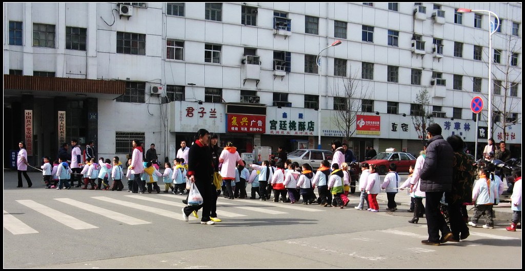 过路花朵胜红灯 摄影 华绿