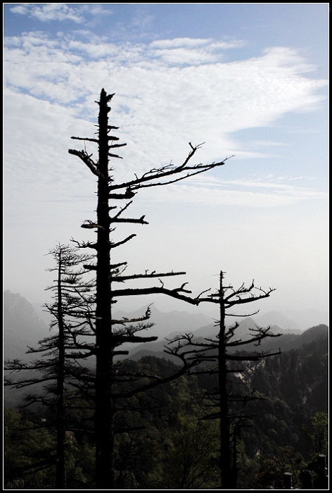 山松 摄影 携手