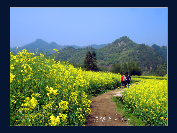 在路上... 摄影 指间.蓝