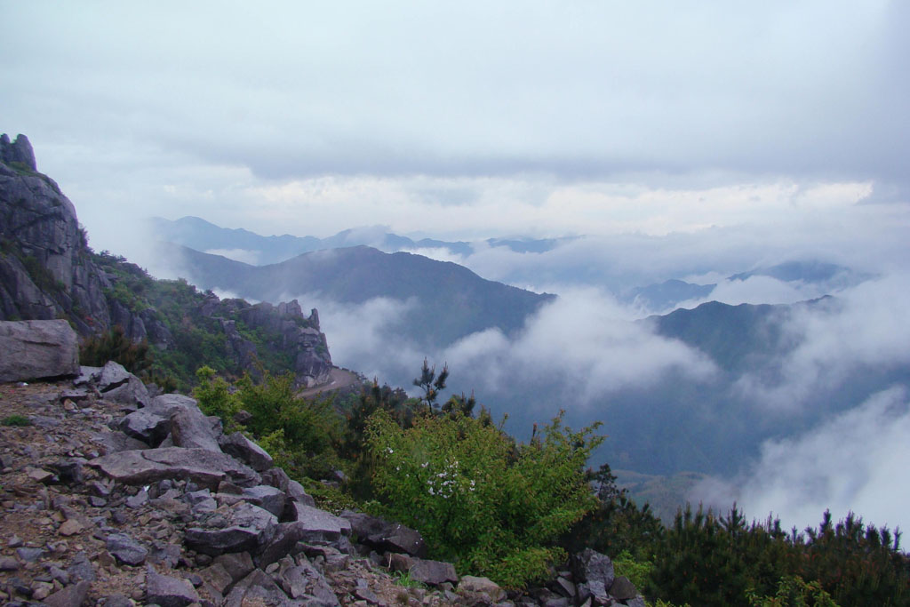 恬苍山 摄影 神来之笔