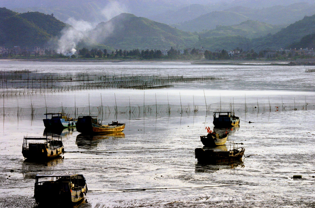 晓澳滩涂 摄影 linshouwen