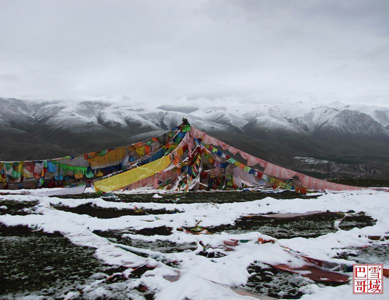 高原风 摄影 雪域巴哥