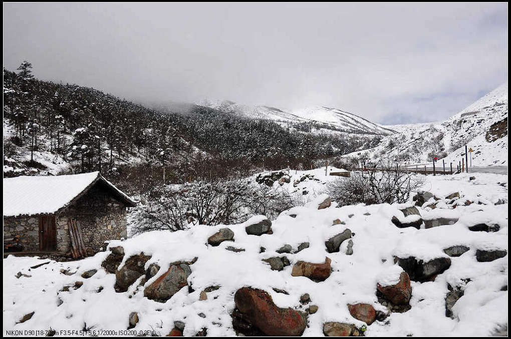 雅加埂五月雪 摄影 川影