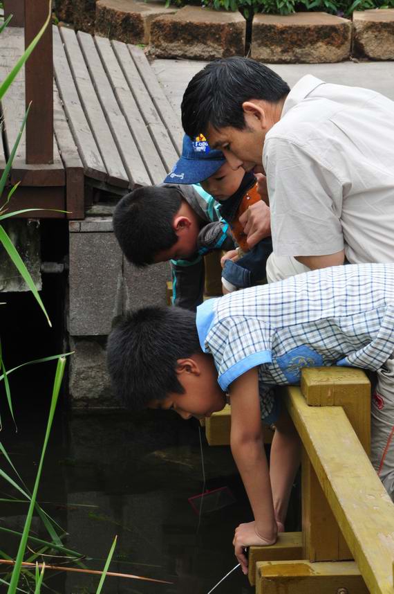 无题 摄影 雨中飞