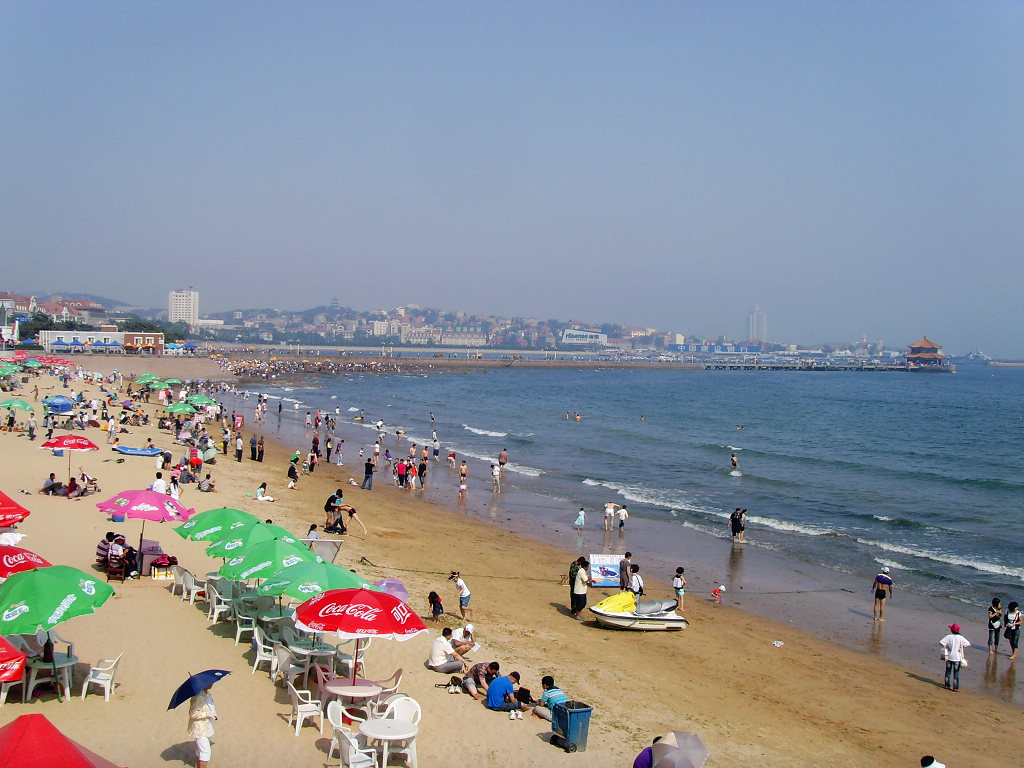 栈桥海水浴场 摄影 海鸥119